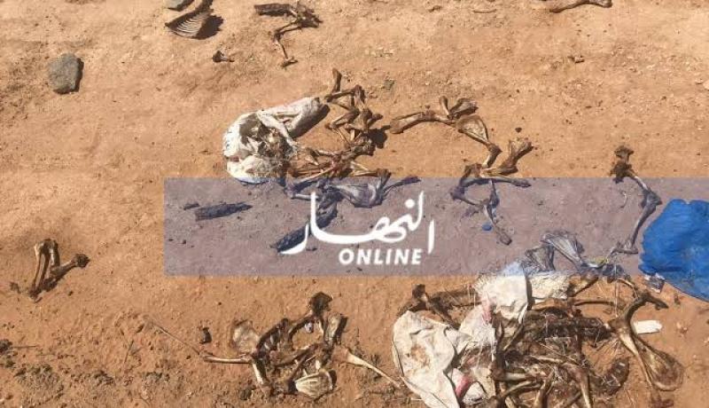بجاية: العثور على أعضاء جسم إنسان داخل بالوعة