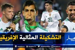تهميش الجزائريين من التشكيلة المثالية الإفريقية لسنة 2019!
