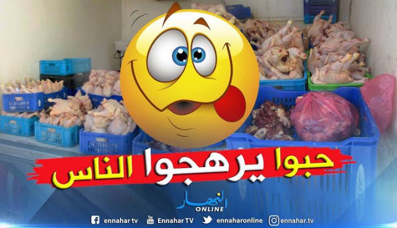 قسنطينة.. إحباط تسويق 11 قنطار و60 كلغ لحوم بيضاء وأحشاء فاسدة