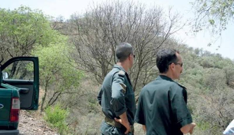 المدير العام للغابات يطالب بإعادة تسليح الأعوان