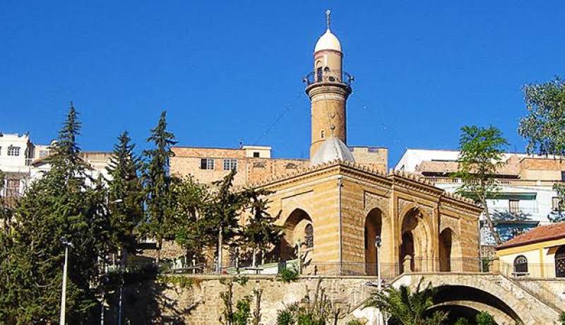 عمال الشبكة الاجتماعية يحتجون ويطالبون بالادماج بتيارت