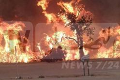 جيجل: إندلاع حرائق في العديد من بلديات الولاية