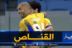 القطريون يُشيدون بـ “هني”