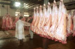 بلمهدي يدعو المواطنين إلى الاستعانة بالمذابح يوم عيد الأضحى