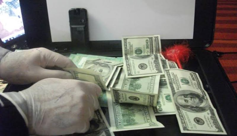 الشلف: توقيف شخصين وحجز 40 ألف دولار مزورة