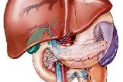 اكتشاف 5 حالات التهاب الكبد الفيروسي “أ” بجيجل