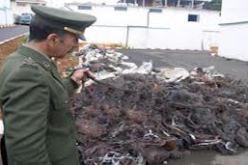 احباط محاولة تهريب 494 قنطار من النفايات النحاسية بتلمسان