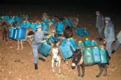 إفشال محاولات تهريب أكثر من 9100 لتر من الوقود في تلمسان نحو المغرب