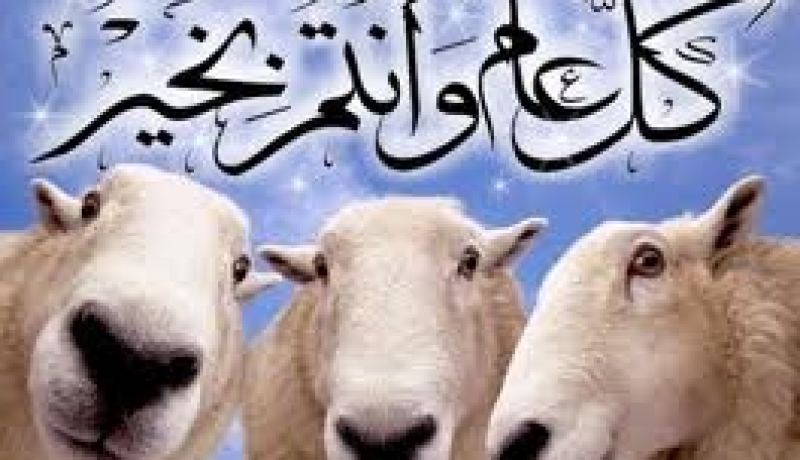 الجزائريون يحتفلون يوم الثلاثاء بعيد الأضحى و الدولة تخصص كل الظروف اللازمة