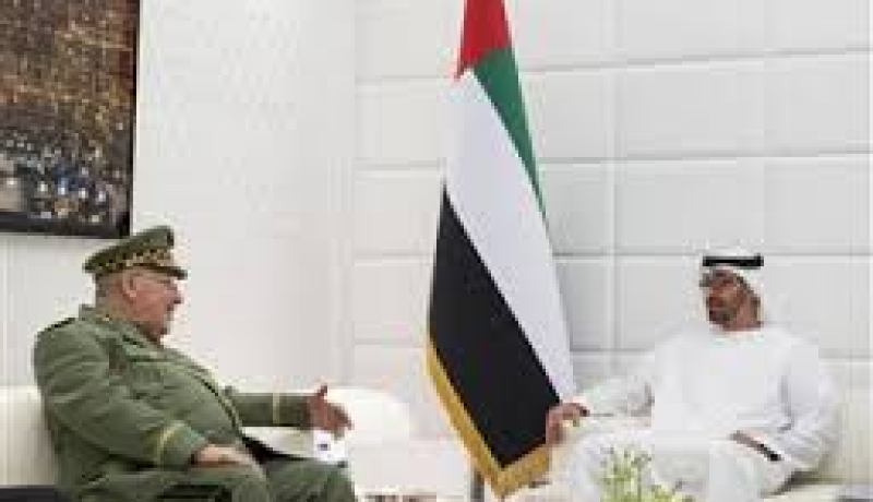 محمد بن زايد يستقبل نائب وزير الدفاع الجزائري
