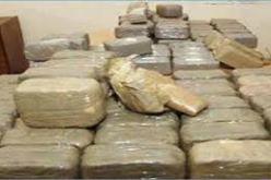 حجز بتبسة أكثر من 155 كلغ من القنب الهندي منذ بداية سنة 2013