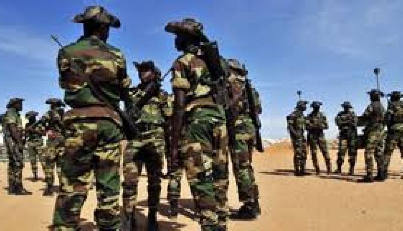 الجيش السوداني يؤكد انه قتل 45 متمردا في دارفور