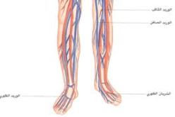 خلل جيني يتسبب في الاصابة بتصلب الشرايين