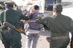 تفكيك بالجلفة شبكة إجرامية تنشط على المستوى الوطني