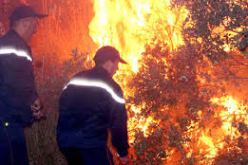 الحرائق تأتي على أكثر من 130 هكتار من الغطاء النباتي بغابة بني صالح بمجاز الصفاء