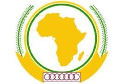 الاتحاد الافريقي يقول أن على قوات مالي الخضوع للسلطة المدنية