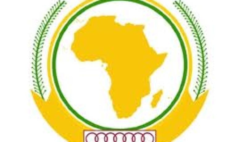 الاتحاد الافريقي يقول أن على قوات مالي الخضوع للسلطة المدنية