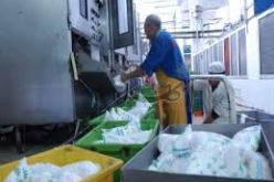 حليب الأكياس المبستر بين نوعية مثيرة للجدل و أسعار مدعمة