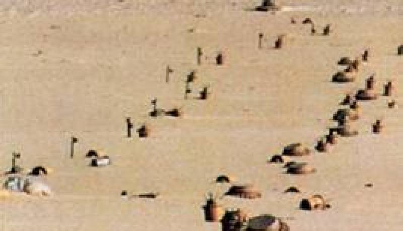 وزارة الدفاع تسلّم الأراضي المطهرة من الألغام للفلاحين 