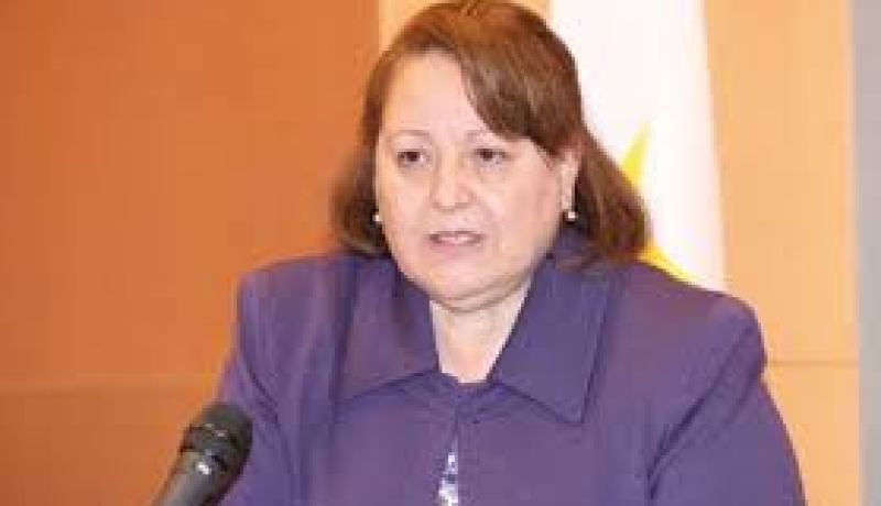 ربط كل مناطق الوطن بشبكة الألياف البصرية مع نهاية 2015