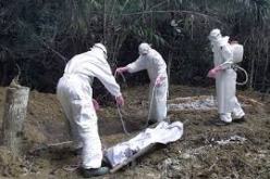 داء ايبولا يهدد حلم سيراليون في التأهل للمرحلة النهائية  بعد غياب 19 عاما