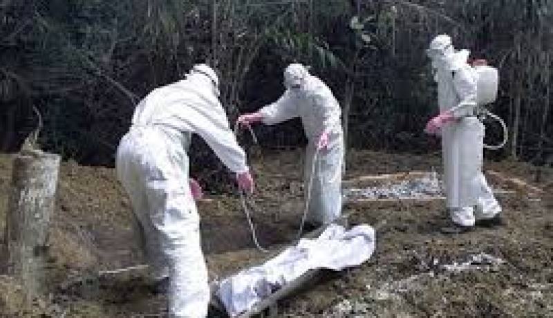 داء ايبولا يهدد حلم سيراليون في التأهل للمرحلة النهائية بعد غياب 19 عاما