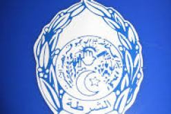 تحديد هوية المعتدي على المعلم الأثري للعائلة الملكية لموريتانيا القيصرية بشرشال تيبازة