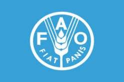 الجزائر تنتخب في هيئتين لمنظمة الأمم المتحدة من أجل الأغذية و الزراعة