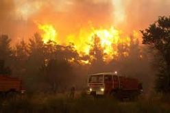 المديرية العامة للغابات: حملة مكافحة الحرائق لهذه السنة افضل النتائج منذ 13 سنة