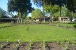 تسخير غلاف مالي “هام” لإعادة تأهيل المساحات الخضراء بمدينة باتنة