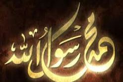 المولد النبوي الشريف الخميس 24 من يناير
