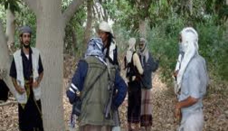 شريط فيديو جديد عن الرهينة السويسرية المخطوفة في اليمن
