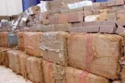 حجز ما يقارب 3,5 قنطار من الكيف المعالج قادمة من المغرب خلال عمليتين متفرقتين بولاية تلمسان