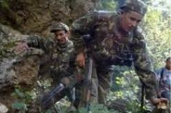 القضاء على إرهابي بتقزيرت في تيزي وزو