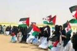 منظمات فرنسية تدين حكما مخزيا و ظالما في حق معتقلين سياسيين