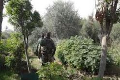 القضاء على إرهابي واسترجاع أسلحة من طرف أفراد الجيش الوطني الشعبي بخنشلة