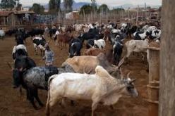 مقتل أكثر من 100 شخص في هجوم لسارقي ماشية جنوب السودان