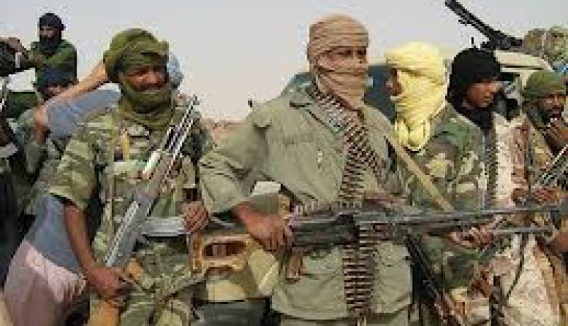 النمسا تصادق على إرسال قوة من جيشها إلى مالي