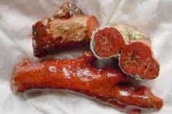 حجز 21 كلغ من المرجان الخام بالقرب من القالة