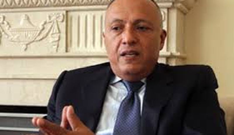 وزير الخارجية المصري : مصر و الجزائر تواجهان حاليا “تحديات” جراء الأوضاع “الخطيرة” في المنطقة