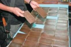 مصر تضبط أكبر كمية ماريوانا في تاريخها في سيناء
