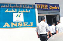 تجميــد تمـويــن مشاريـع أونســــاج الفلاحيـة إلى غاية رفع الحظر عن تنقــل المواشــي