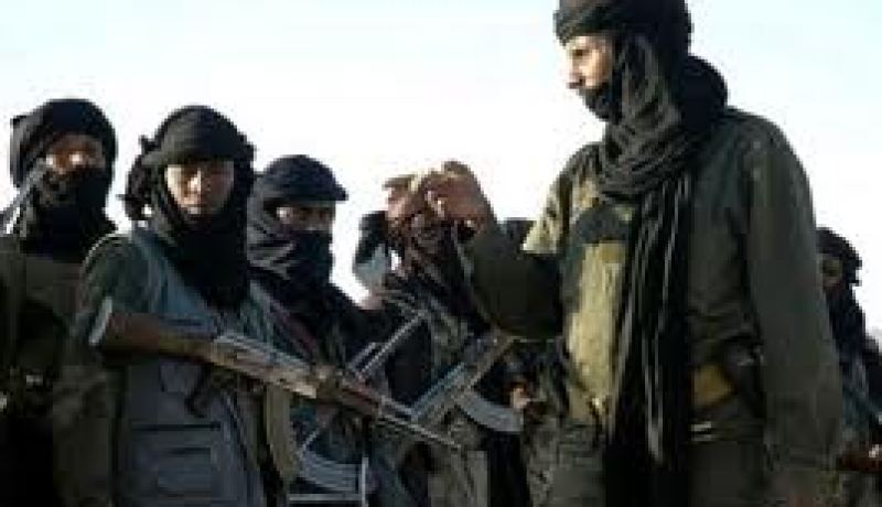 جماعة أنصار الدين “تحتجز” اسبانيا في شمال مالي ثم تفرج عنه
