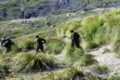 إسبانيا تؤكد تضامنها مع الجزائر أمام التهديد الإرهابي