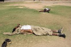 مقتل 20 متمردا من قوات الفارك في قصف للجيش الكولومبي