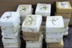 توقيف ثلاثة أشخاص تورطوا في قضية ترويج الكوكايين  في وهران