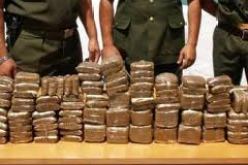 حجز ما يقارب 18 طنا من الكيف المعالج بتلمسان