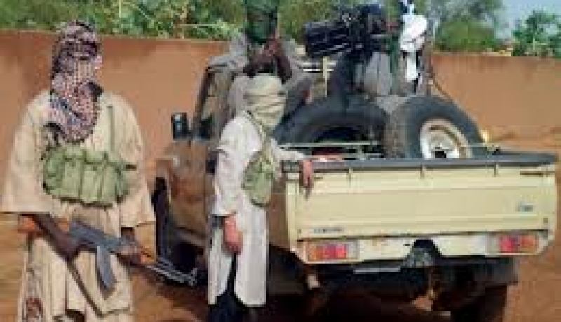 القضاء على 65 مسلحا و سقوط 13 جنديا تشاديا في اشتباكات شمال مالي