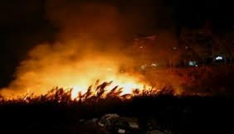 مقتل 36 شخصا بسبب الحرائق في الصين خلال اسبوع