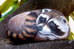 صور لفن الرسم على الحجارة